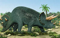 Triceratops