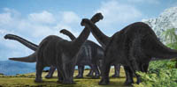 Cetiosaurus