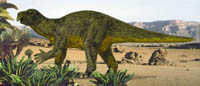 Muttaburrasaurus
